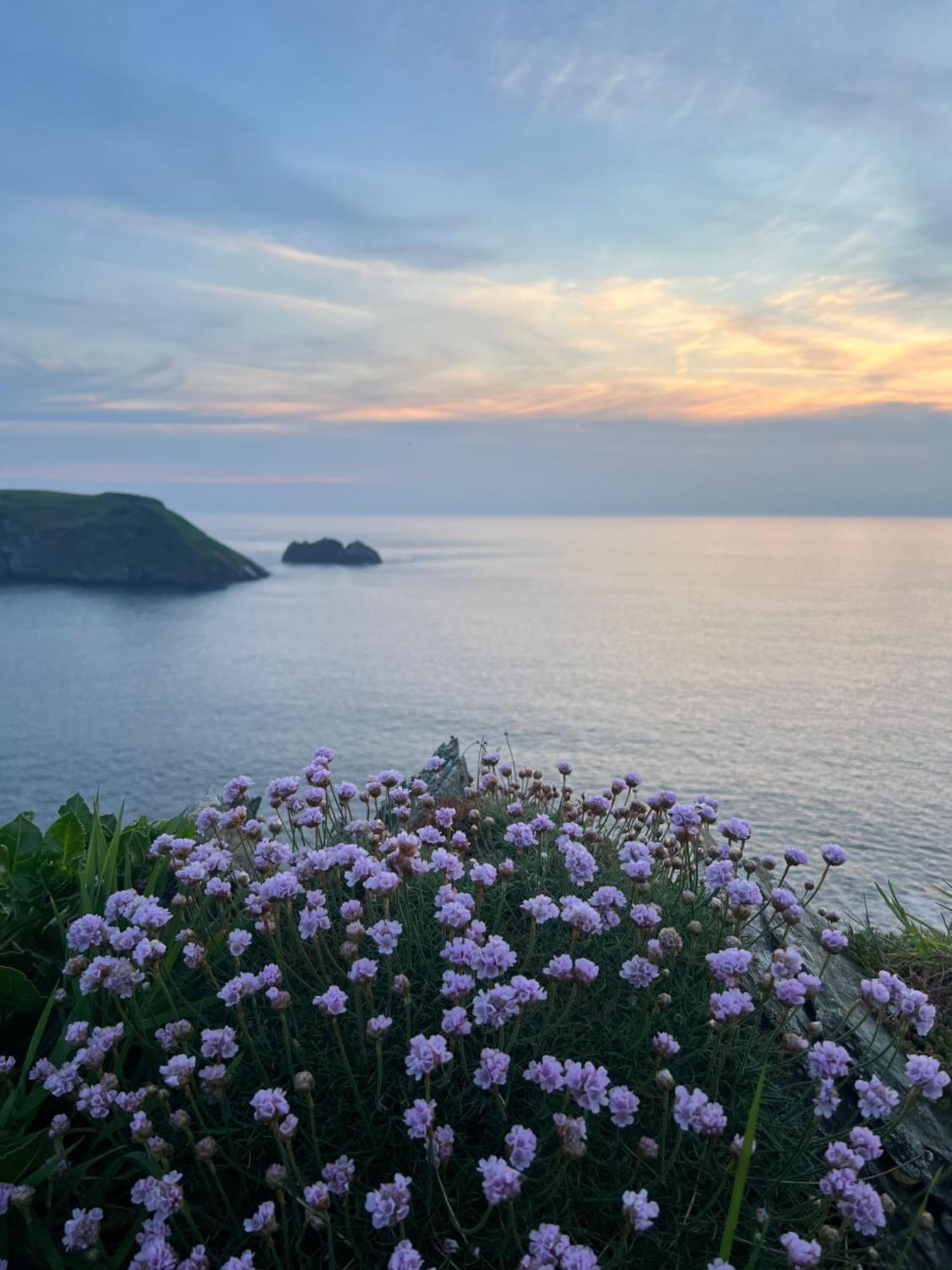 Courtyard Farm Cottages Boscastle Exterior foto