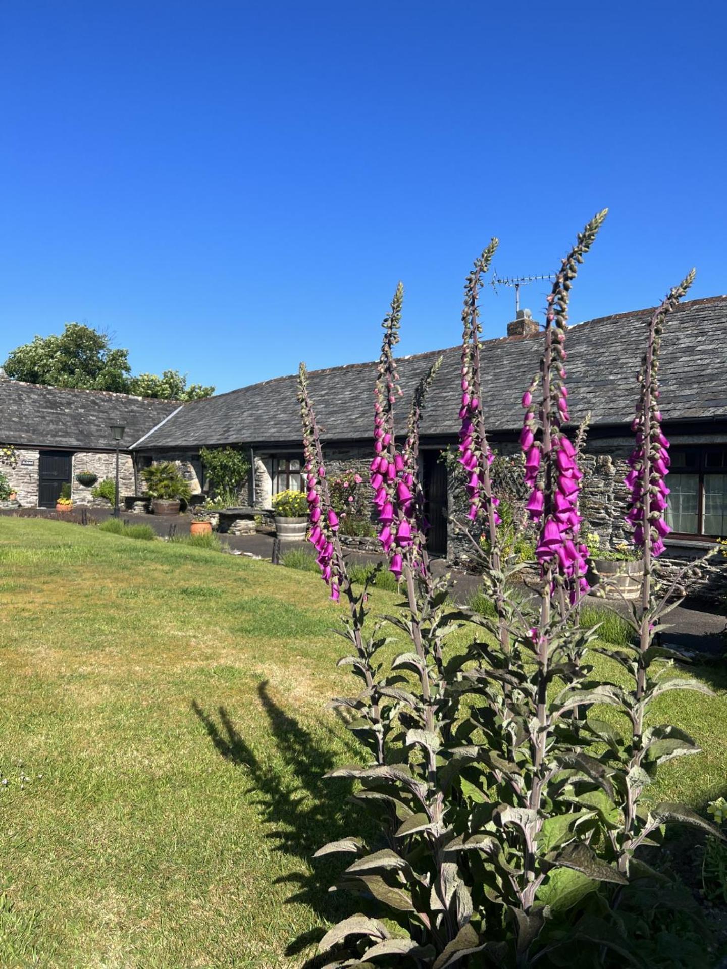 Courtyard Farm Cottages Boscastle Exterior foto